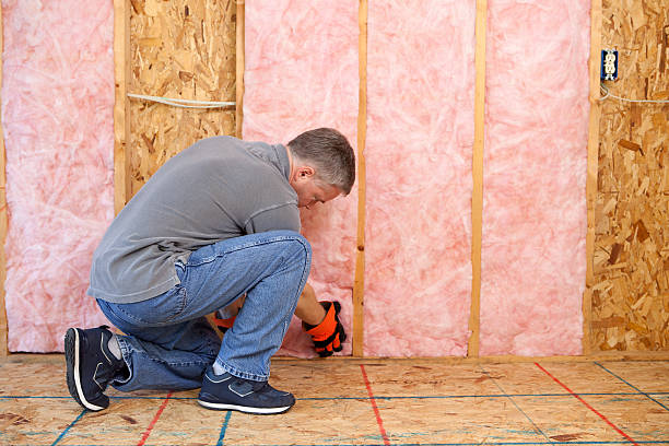 Best Commercial Insulation in St Ansgar, IA