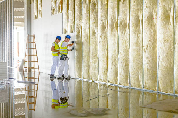 Best Spray Foam Insulation in St Ansgar, IA